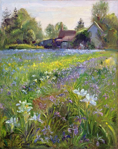 Zwergiris und Hütte, 1993 von Timothy Easton